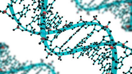 A strand of DNA