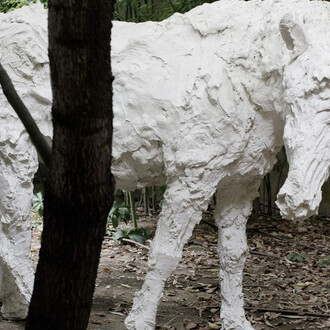 Passaggi. Courtesy of Otto Zoo