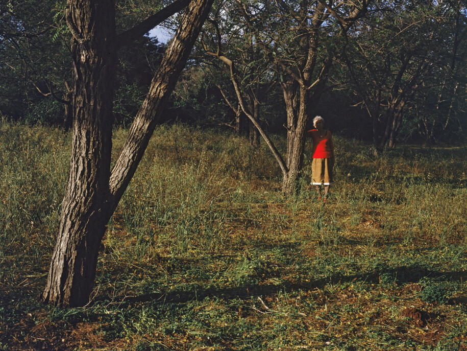 Tamar Avni, Orchard Untitled #7, Lambda Print, 27" x 39"