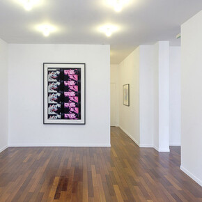 Carolee Schneemann. Courtesy of MFC - Michèle Didier