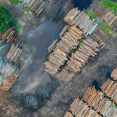 Lamentablemente, las medidas contra la deforestación trabajadas en la COP28 de Dubái no se cumplieron