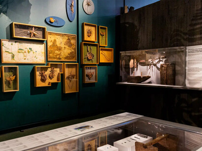 Le Québec, autrement dit, vue d'exposition. Avec l'aimable autorisation du Musée de la civilisation