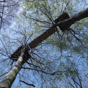 Oliver Ressler, How is the Air up There?, digital print, 59,5x84,4 cm, 2018, Edition 5+1, Courtesy The Gallery Apart Rome