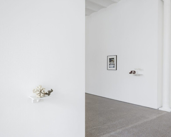 Joe Zorrilla. Courtesy of Galerie Greta Meert