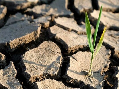 We are not thinking big enough in terms of our approach to imagining and implementing effective solutions to the climate crisis