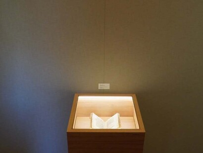 Varios artistas, Laudato sie. Naturaleza y ciencia. La herencia cultural de Fray Francisco, vista de exhibición. Cortesía de Curia Generalizia OFMConv