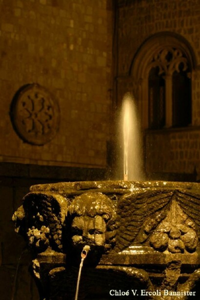 Medieval fountain in Viterbo