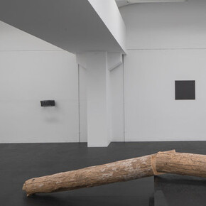 Locus Rei, Exhibition view. Courtesy of Galleria Doris Ghetta