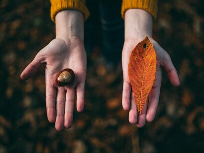 La semplicità della natura