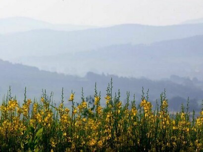 In the middle of nature