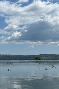Lake Victoria, Jinja, Uganda East Africa