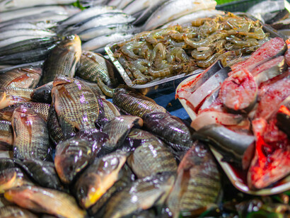Picking fresh ingredients is key for a tasty meal