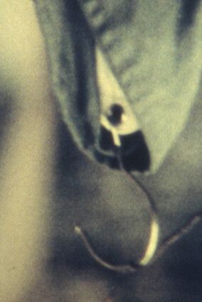 Amos Gitai, After VII, 1974/2014, Impression pigmentaire sur papier, 100 x 70 cm (39.37 x 27.56 in)
1, Ed. 1 of 5, Courtesy Galerie Thaddaeus
Ropac, Paris/Salzburg © Amos Gitai