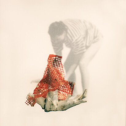 Alessandra Brown, De-Generazioni, stampa fotografica su mixed media, 2018