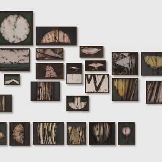 Suman Dey, Nature I (Series: Nature), exhibition view. Courtesy of Emami Art