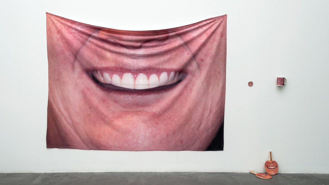 Eva e Franco Mattes, Image Search Result, 2016. Mata, Modena (ph. Elenia Megna, 2016)