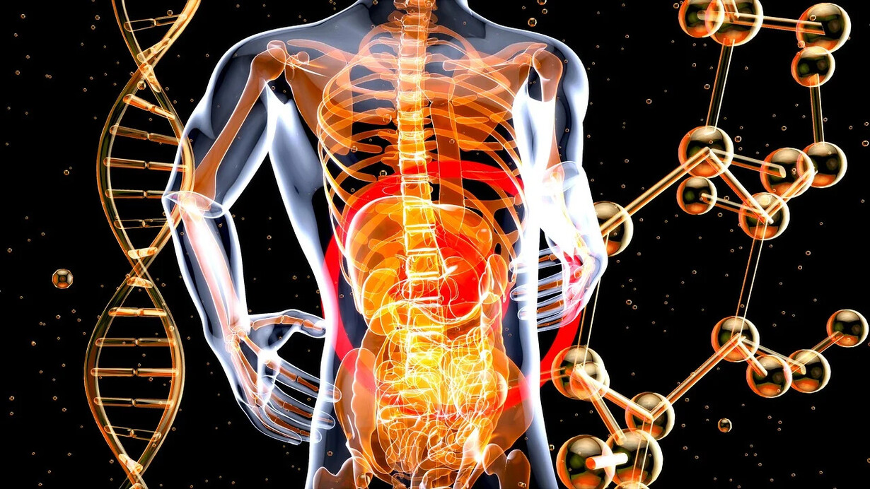 L'asse cervello-intestino (CIA) svolge un ruolo fondamentale nella comprensione della sindrome dell'intestino irritabile (IBS), un disturbo gastrointestinale molto sgradevole e doloroso, che colpisce milioni di persone al mondo