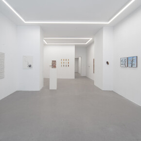 Xuejing Wang, Antifragile, ausstellungsansicht. Mit freundlicher genehmigung der Galerie Russi Klenner