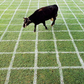 Andri Pol, Kuhlotto, Bad Zurzach (détail), Suisse, 1998. Avec l'aimable autorisation de la Fotostiftung Schweiz