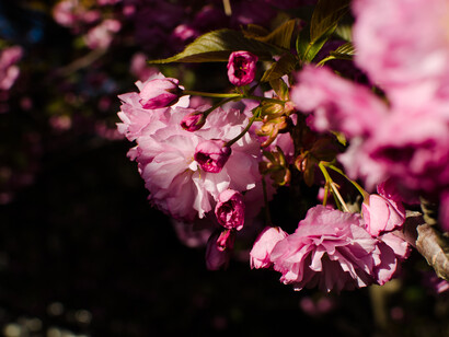 Attiviamo il nostro lato Yang