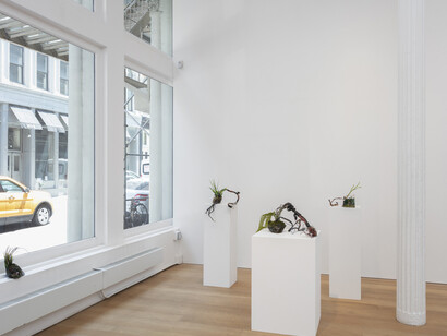 Mary's New Home and other works. Courtesy of Alexander and Bonin Gallery