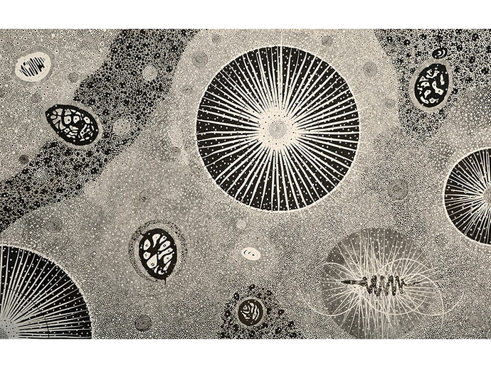 John Anderson, 2003-09, 85x132.5, acrylic on canvas
