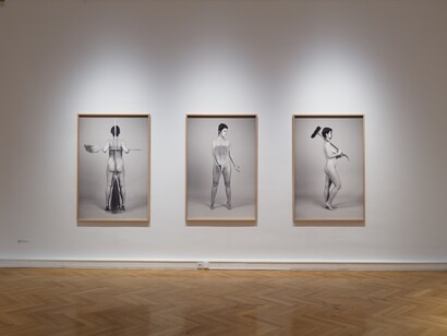 You, who can fly, ausstellungsansicht. Mit freundlicher genehmigung der OÖ Landes-Kultur GmbH