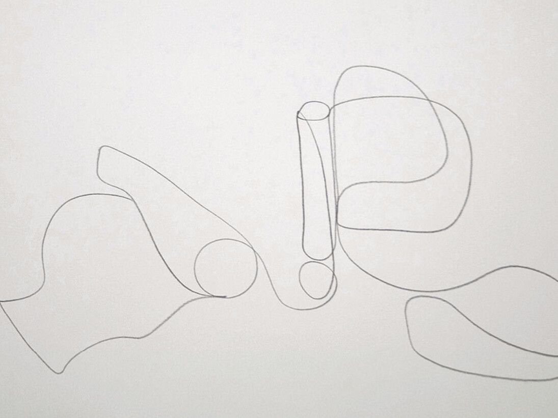 Um ensaio sobre o desenho. Courtesy of Galeria Raquel Arnaud