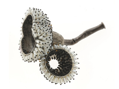 Wunderkammer: the collection of Susan Beech. Courtesy of Museum of Craft and Design 