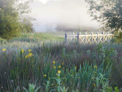 Thyme's water meadows in Southrop, Gloucestershire, England by Sussie Bell