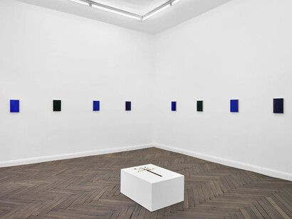 José Montealegre, Drastic measures, exhibition view. Courtesy of Galerie Thomas Schulte