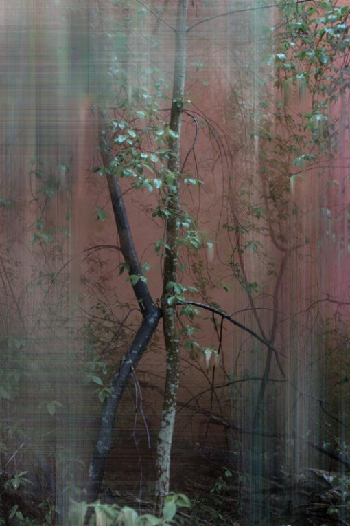 Sandra Kantanen. Courtesy of Purdy Hicks Gallery