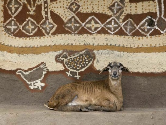 Hans Silvester, Painted Houses: Southern Ethiopia (No. 14), 2011-2013, C-print, edition of 10, image: 39 3/8 x 27 1/2 inches, sheet: 41 3/8 x 29 1/2 inches © Hans Silvester, courtesy Marlborough Gallery, New York