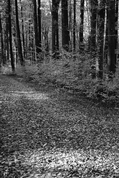 Existe una paradójica relación entre las emociones y la importancia que les damos