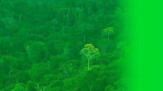 Melanie Smith, Still from The Colour Green, 2014. HD Video, 2:26 min.