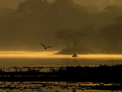 Sacredness of nature has been recognised by Indigenous peoples, but not modern industrial societies @ Ashish Kothari.jpg