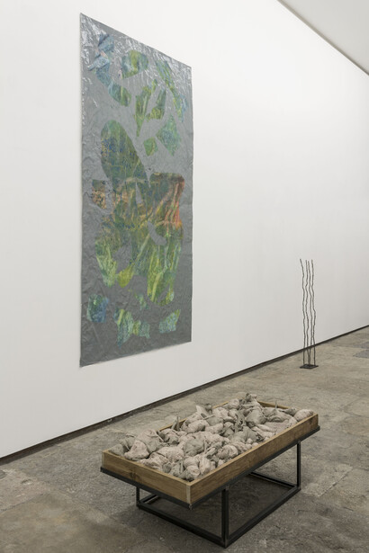Exhibition view, I´m a mineralist, André Trindade,
Photo: João Ferro Martins. Image courtesy of the artist and 3+1 Arte Contemporânea, Lisboa.