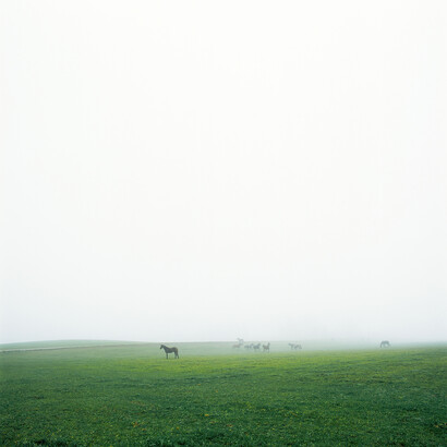 Naomi Leshem. Courtesy of Noga Gallery