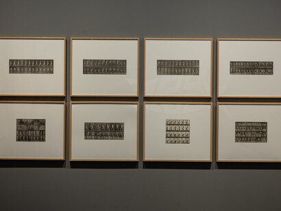Eadweard Muybridge, vista de  exhibición. Cortesía del Museo Universidad de Navarra