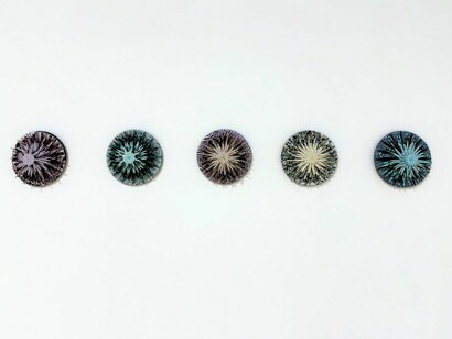 Terry Hays, A safe place, exhibition view. Courtesy of Ro2 Art