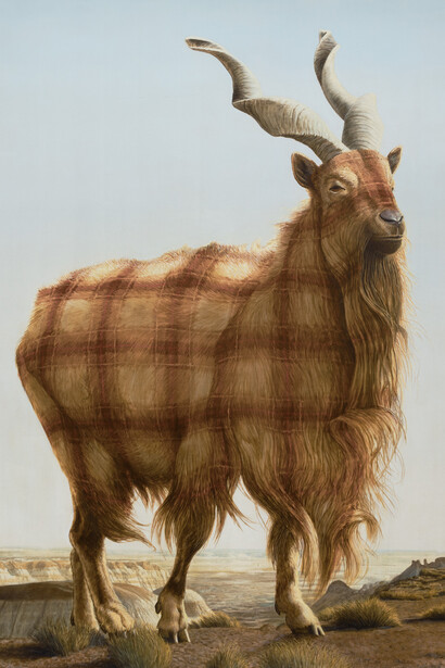 Sean Landers, Painted Desert (Markhor), 2015
oil on linen, 86 x 64 in. (218.4 x 162.6 cm.)
Photo: Jason Mandella.© Sean Landers, Courtesy Petzel Gallery.Sotheby’s + Paul Kasmin Gallery , Naturalia: Scenes from the Underbrush, 19 January – 4 March 2017