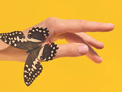 A close-up view of a butterfly resting on a hand symbolizes personal transformation and emotional growth