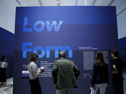 Low Form. Courtesy of Maxxi