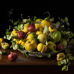 Paulette Tavormina, Orchard Quince, 2020. Archival pigment print. Courtesy of Winston Wächter Fine Art, New York