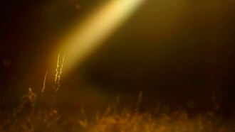 Un rayo de luz