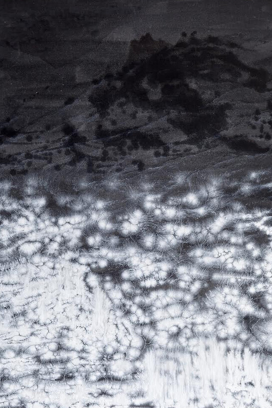 Outi Pieski, Kuru | Gurra | Gorge, 2014, acrylic on canvas, 160 x 120 cm
