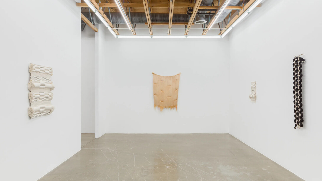 Molly Haynes, Liquescent, exhibition view. Courtesy of Ochi Projects