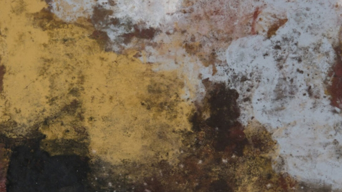 Terra Bruciata. Courtesy of Court Tree Collective