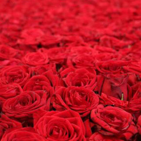 Avery, Froment, Gallaccio, Hiorns, Empire, Sedira. Courtesy of National Galleries of Scotland