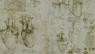 Leonardo da Vinci, The heart and coronary vessels drawing